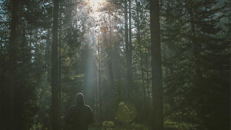 Eski Sevgili Neden Geri Döner? Kalp Kırıklıklarının Ardındaki Gizemler