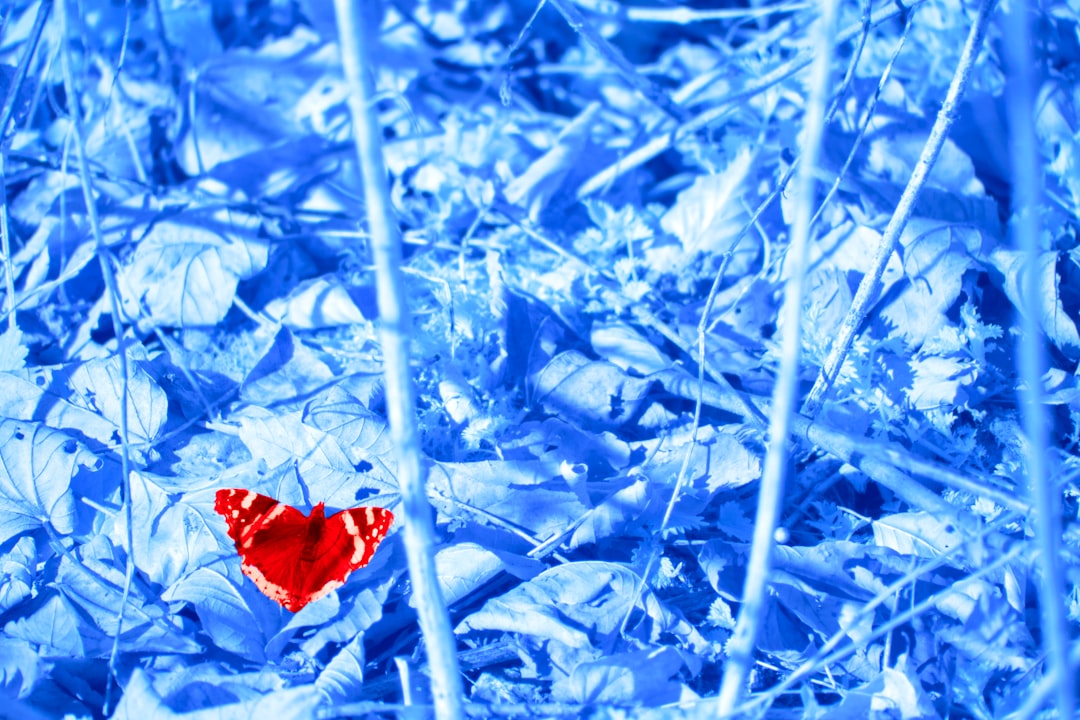 Sevgilimden Soğumanın Yolları: Kalp Kırmadan Mesafeyi Koymak