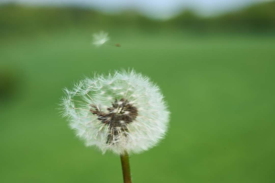 Bahtın Rüzgârında: Hayatın Belirsizlikleri ve Şansın Rolü